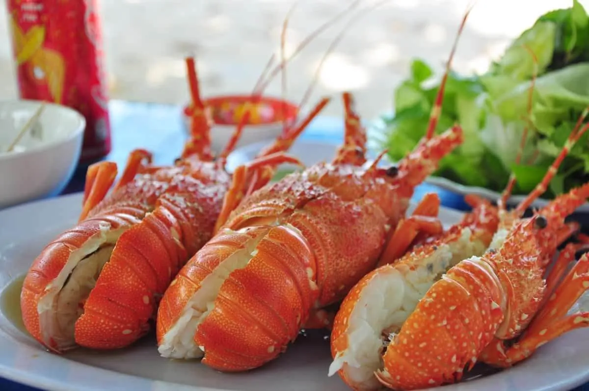 Đặc sản Tôm hùm đỏ tại Côn Đảo